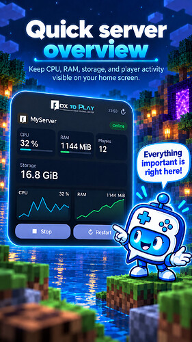 BoxToPlay large Minecraft server monitoring widget