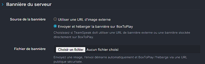 Hébergement BoxToPlay de la bannière TeamSpeak