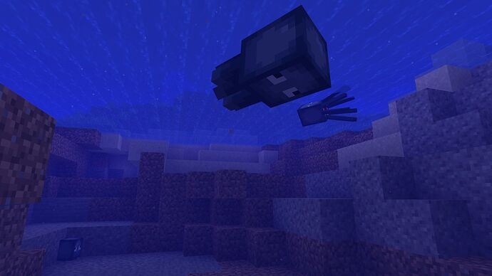 Baby squids underwater