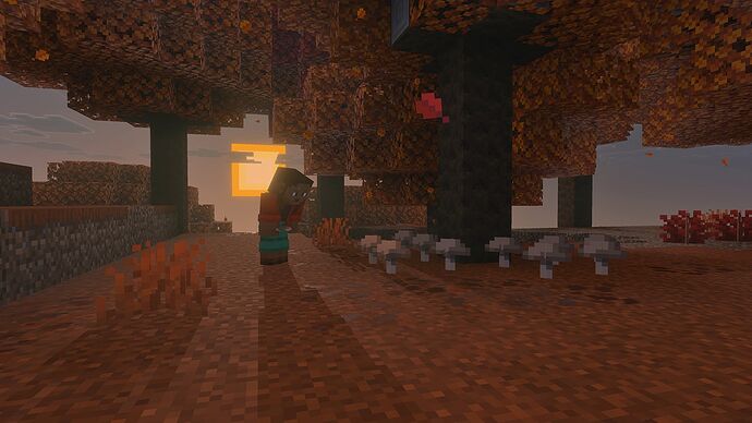 The Dappled Forest and its autumn-colored poplar trees