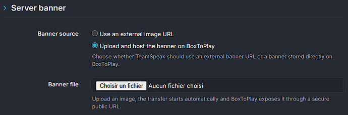 BoxToPlay-hosted TeamSpeak banner