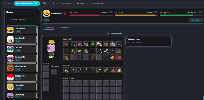 Minecraft player inventory overview with 3D skin and equipment