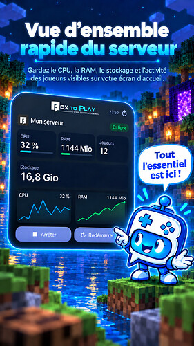 Grand widget de monitoring de serveur Minecraft BoxToPlay