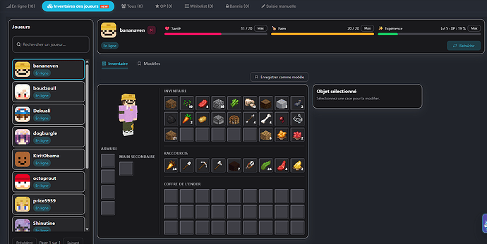 Vue d'ensemble de l'inventaire avec skin 3D et équipement complet