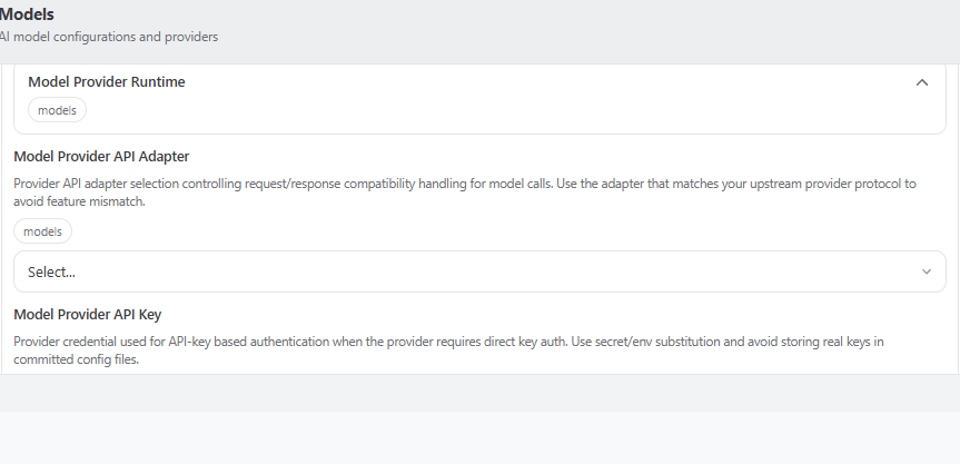 Configuring the AI provider and API key in OpenClaw
