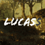 Lucas14